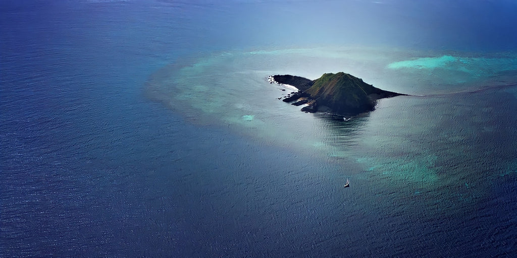 Île de la tortue 