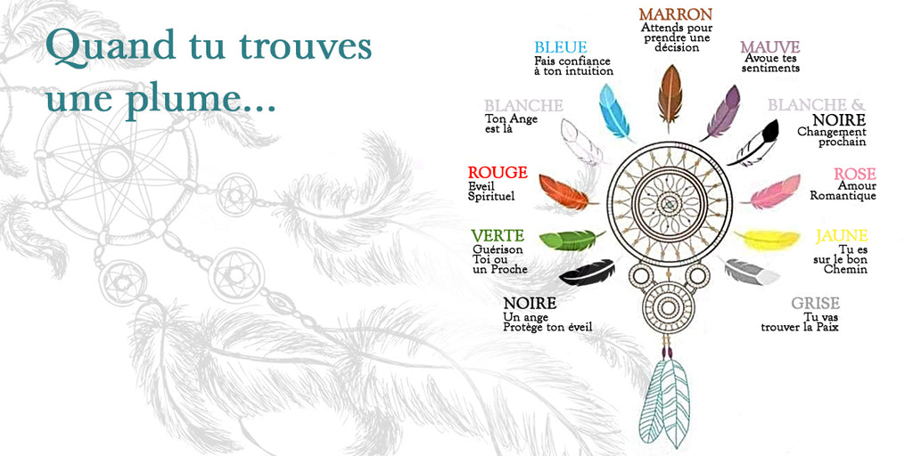 signification des couleurs de plumes