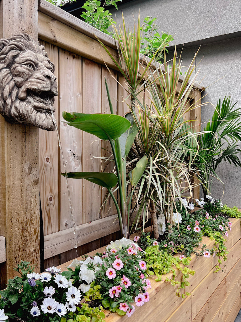 Built in cedar planters with petunias, large palms and fountain