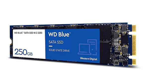 WD bleu SATA SSD M.2 2280