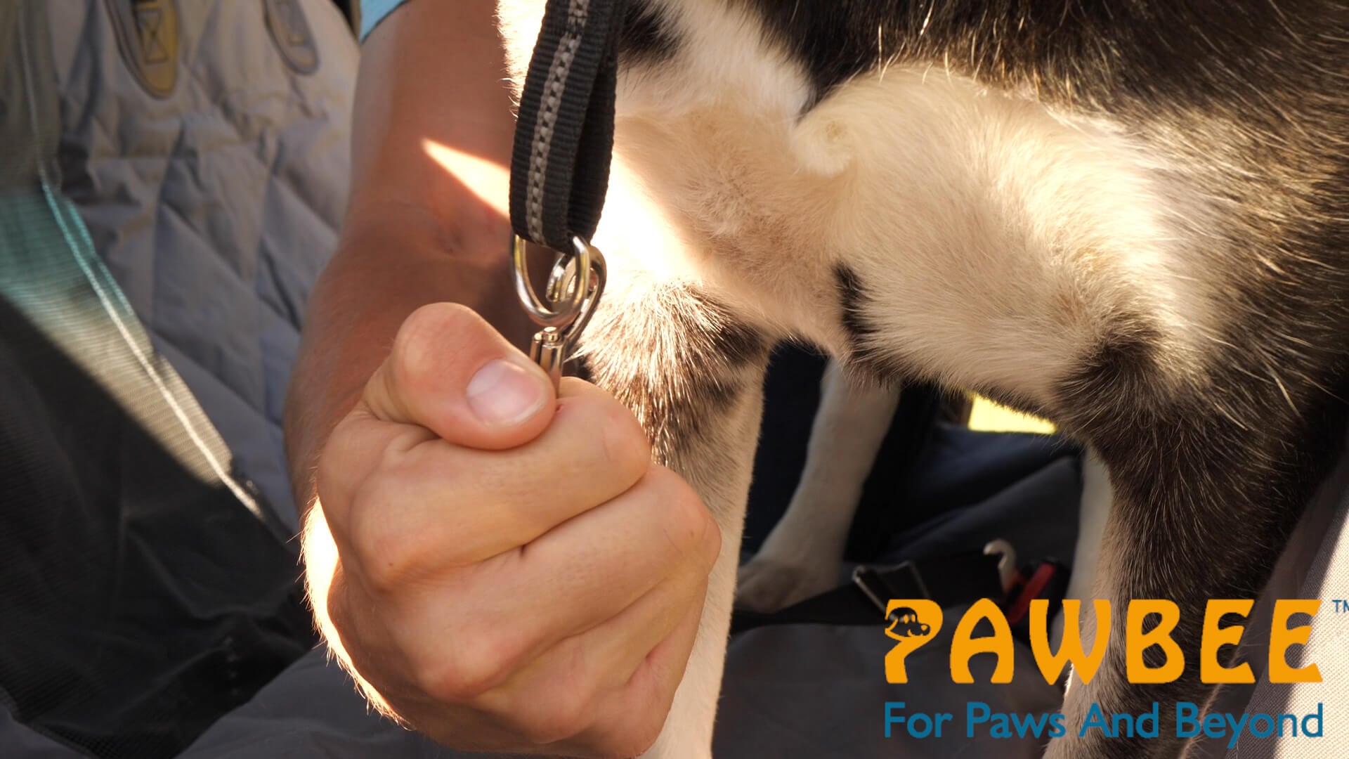 Pawbee Dog Seat Belt For Car - 2 Pack Dog Car Harness - Adjustable