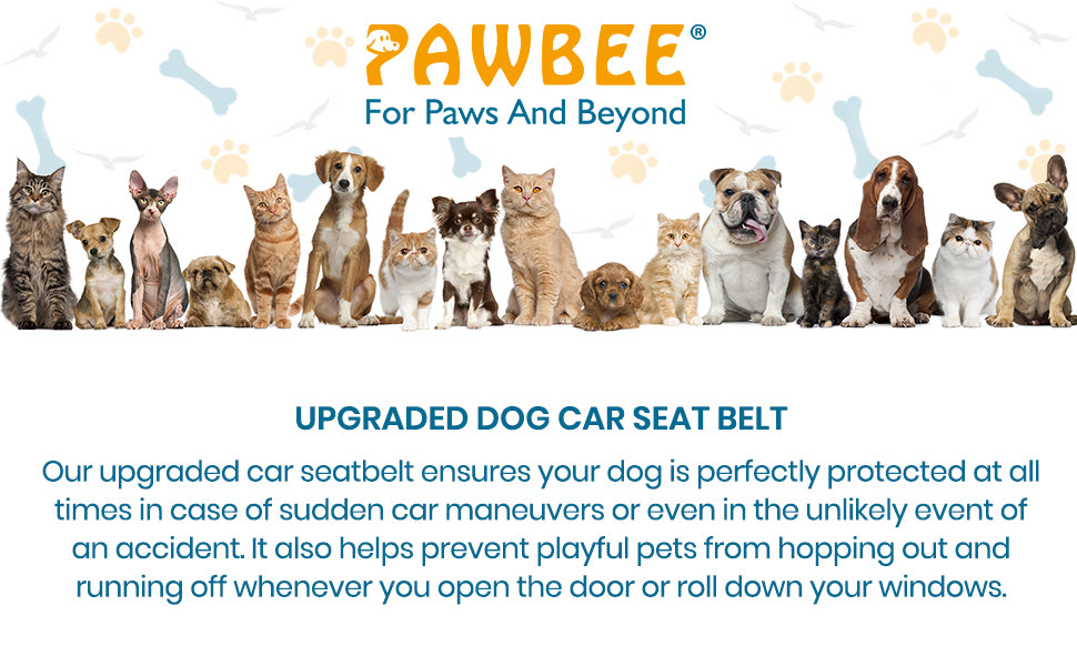 2 Pack Dog Seat Belt – PAWBEE STORE