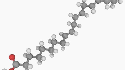 The Importance of Omega-3 DHA and ALA for Child Health 