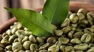 Green Tea, Garcinia Cambogia, and Green Coffee Bean Extract: A Triple Boost for Better Metabolism and Fat Burning GKBE