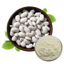 Green Coffee Bean & White Kidney Bean Extract: A Potent Antioxidant Duo WKBE