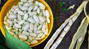 Green Coffee Bean & White Kidney Bean Extract: A Dual Approach to Starch & Carbohydrate Reduction WKBE