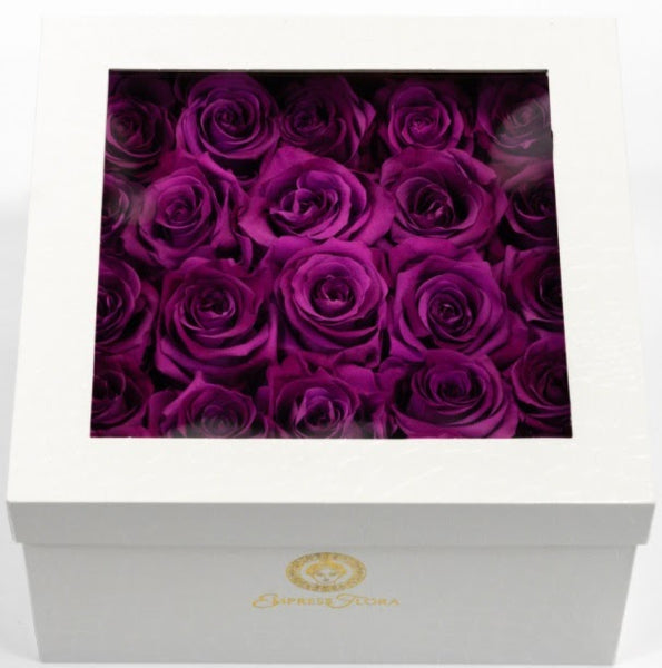 Violet preserved roses encased in empress flora white gift box