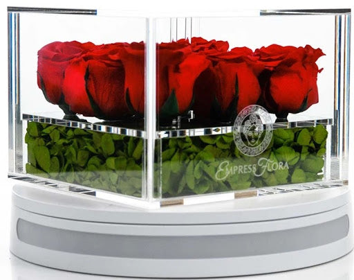 nine pieces of preserved red roses encased in a empress flora glass containe