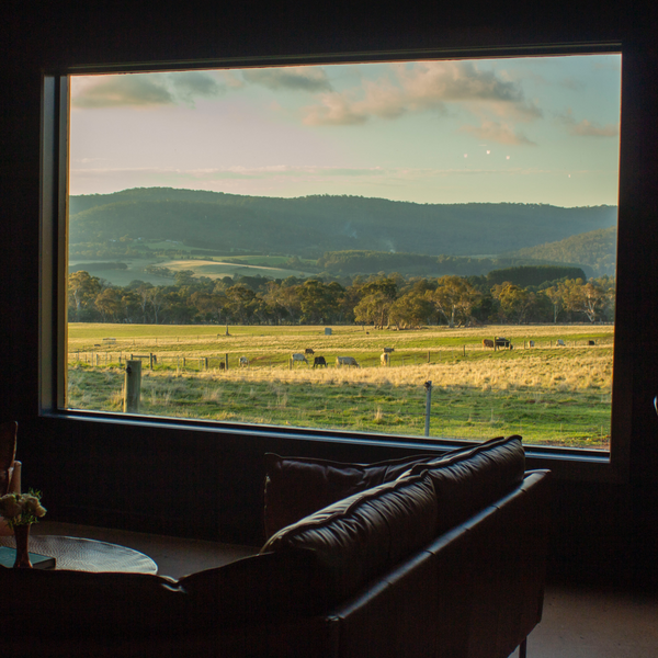 The view looking out of the Big Tree Distillery window of the Cobaw Ranges