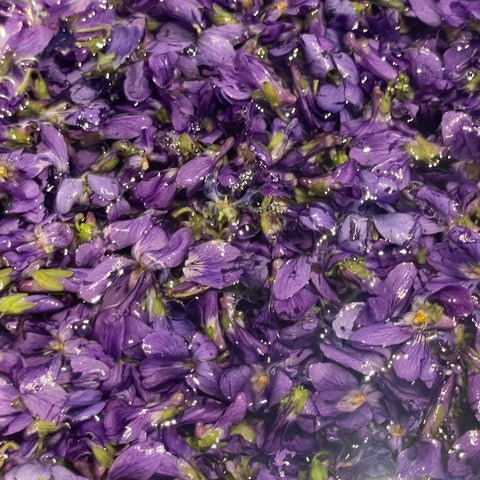 Sirop de violette - La recette