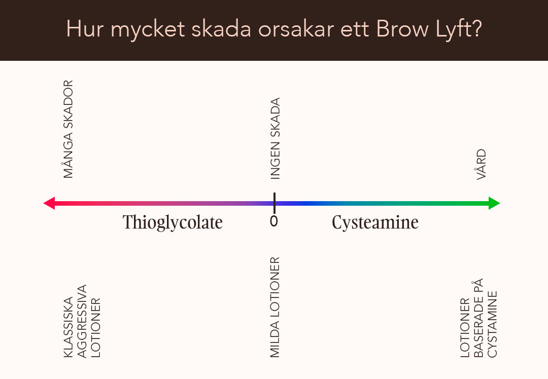 Esthetique - Brow lamination landing SE NEW - 5.jpg__PID:032352d9-dea5-4cc6-a7b9-b0a313a52cc3