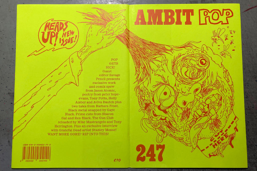 Bright yellow cover of Ambit Pop 247