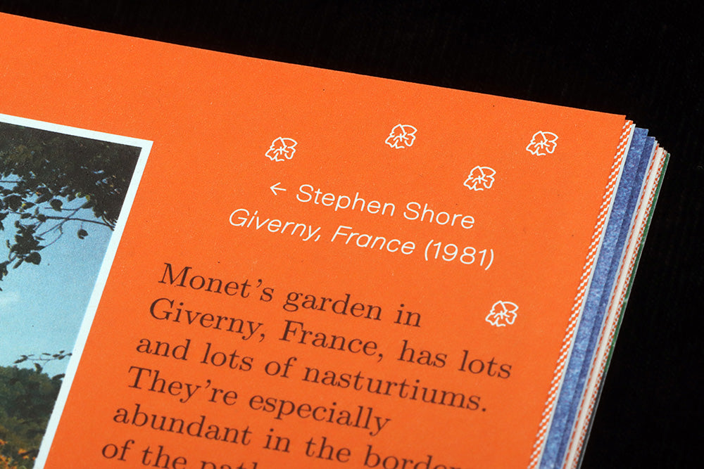 Close-up of details in issue two of Pleasant Place