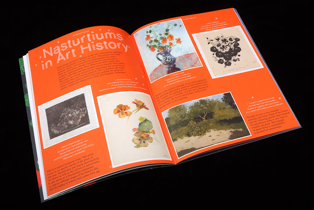 Spread from Pleasant Place issue two—orange background with artworks floating on page