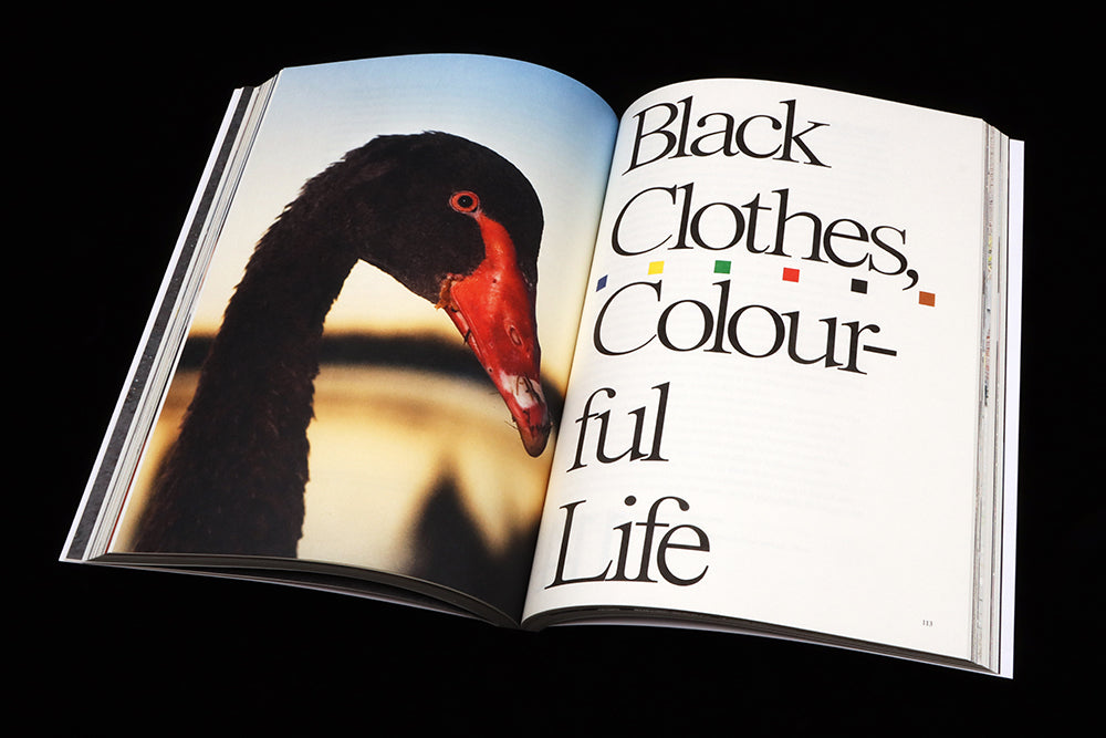 A double page spread from Vestoj 11: on left, a close up image of the neck and head of a black swan. On right, text