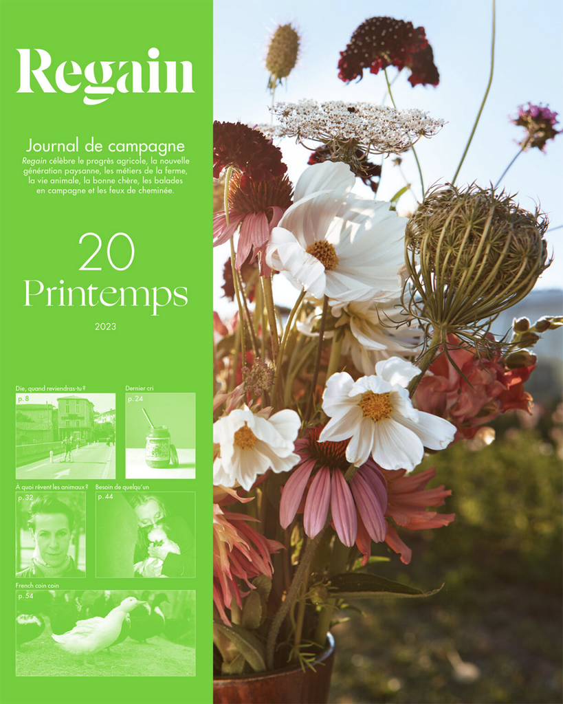 Front cover of French magazine  Regain, split vertically between flouro green panel and image of cut, dried flowers