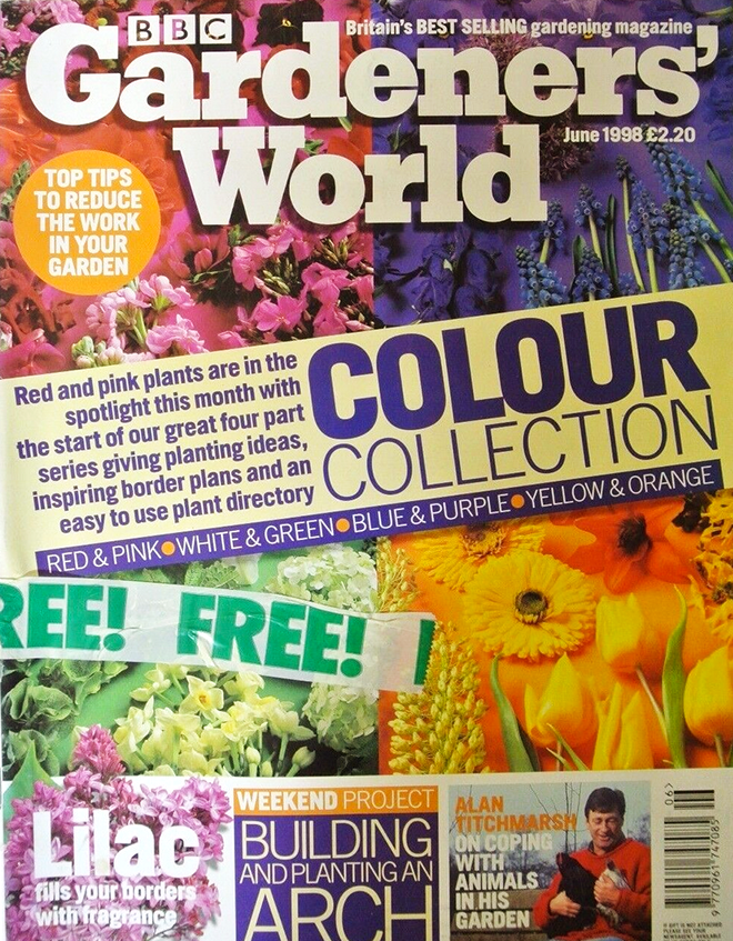 How to Grow a Catnip Plant  BBC Gardeners World Magazine