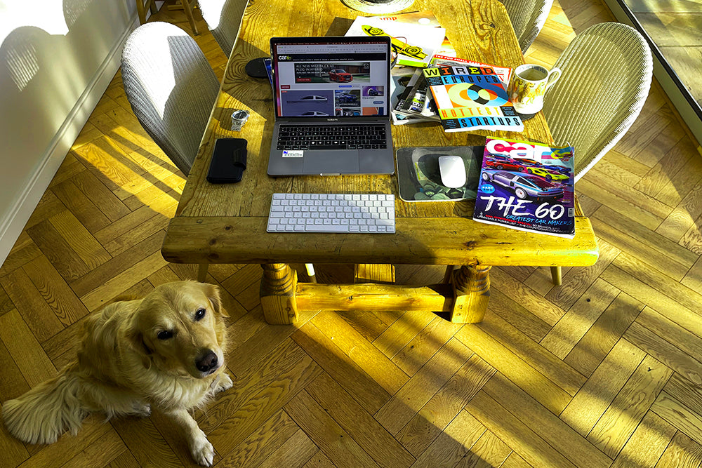 A golden retriever sits next to a wooden table with magazines, a laptop and a cup of coffeee.