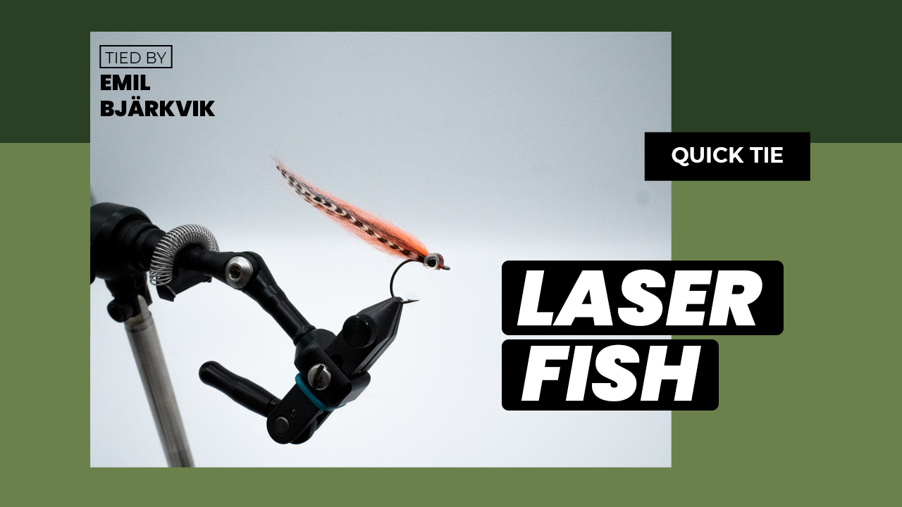 Laser_Fish_Thumbnail.png__PID:fdcb76b8-4e4b-4933-89bb-5f619e8ab425