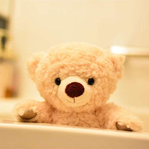 Bath toy teddy bear