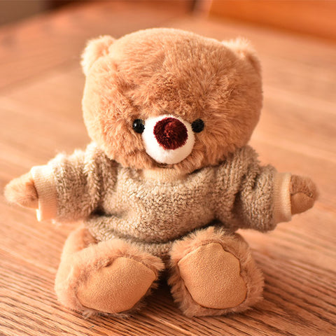 Baby teddy bear and clothing