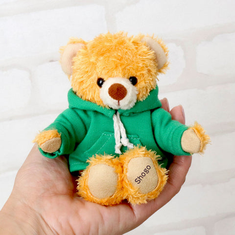 Personalisierter Farbhodie Teddybär