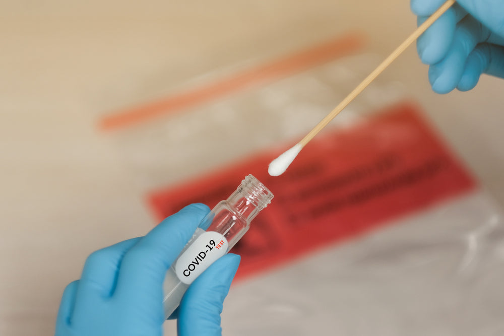 Nasal swab covid test in laboratory