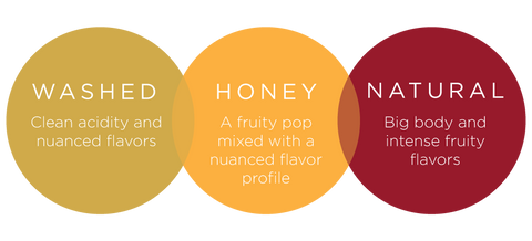 A diagram with three circles that contain information, one says "washed, clean acidity and nuanced flavors" the second circle says "honey, a fruity pop mixed with a nuanced flavor profile" and the third circle says "natural, big body and intense fruity flavors"