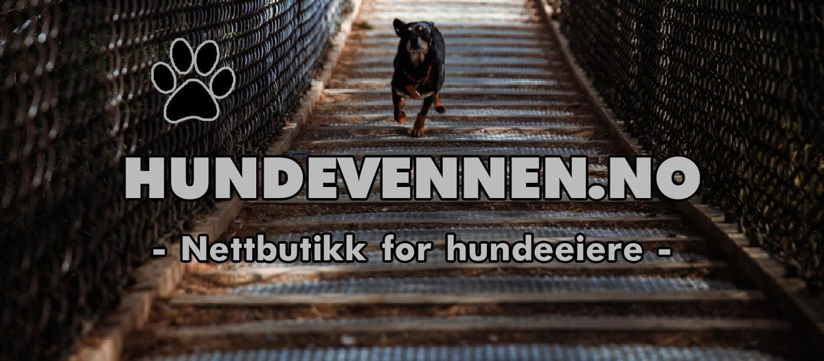 Hundevennen