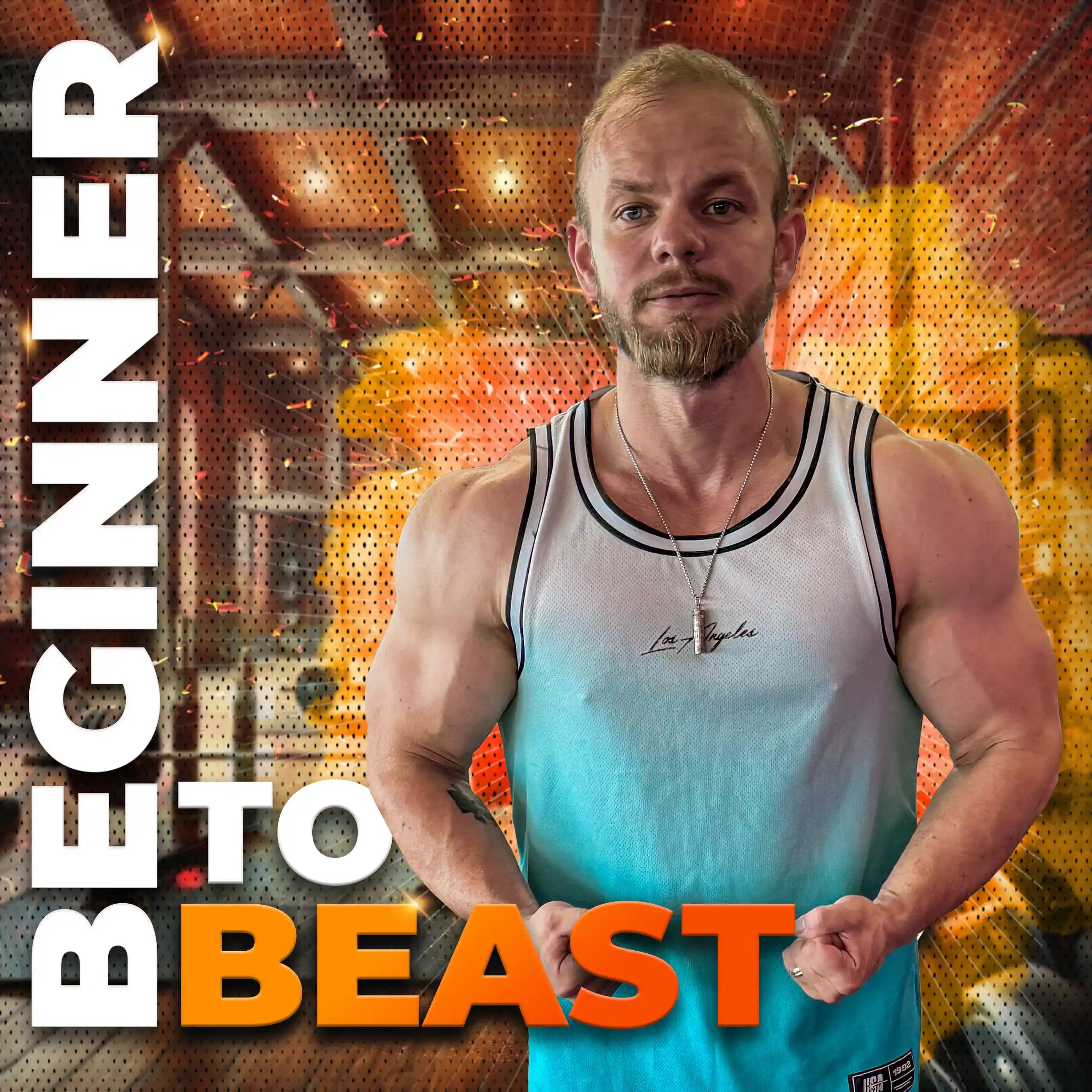 Beginner_to_beast_V2