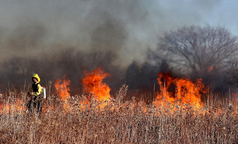 Wildfire in bush with firefighter and smoke in air