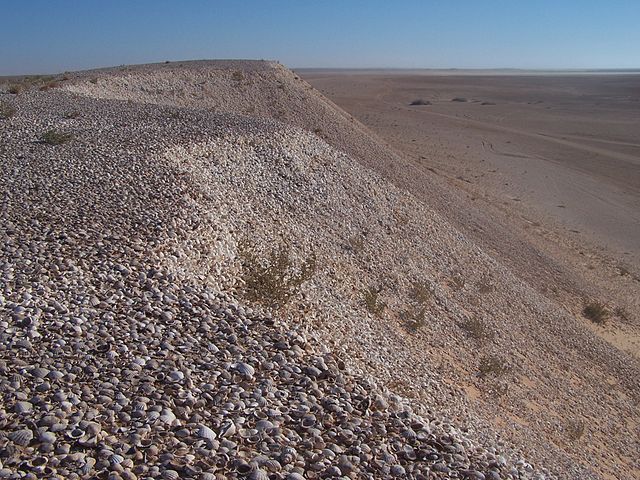 Conchero Arguin en Mauritania