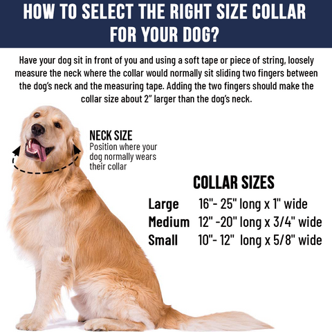 Size Dog Collars
