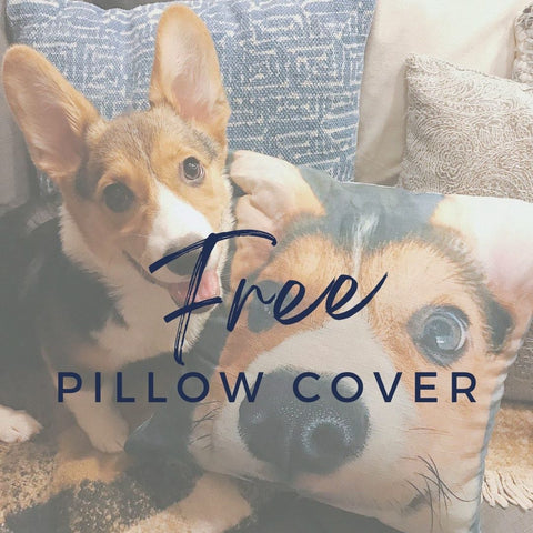 free pillow