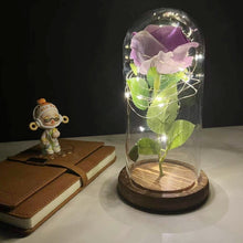 Load image into Gallery viewer, Beauty and The Beast Eternal Roses Dried Flowers|
