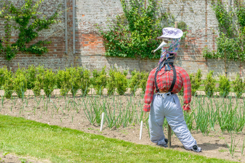 homemade scarecrow wearing a red shirt and denim pants in a large garden