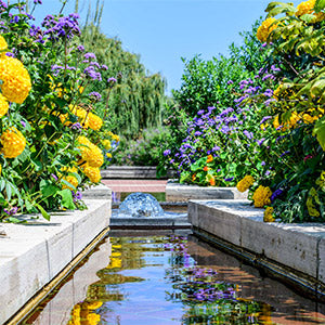 fountain with beautiful yellow and purple flowers