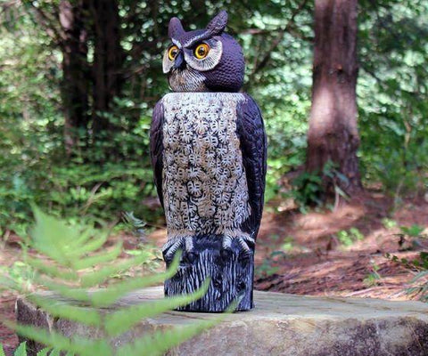 Try a life life rotating-head owl device to scare pests from your garden.