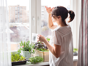 woman watering houseplants and microgreens