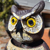 BIRD WATCHER™ Hidden Camera Surveillance Owl 360° Vision Sentry Drone