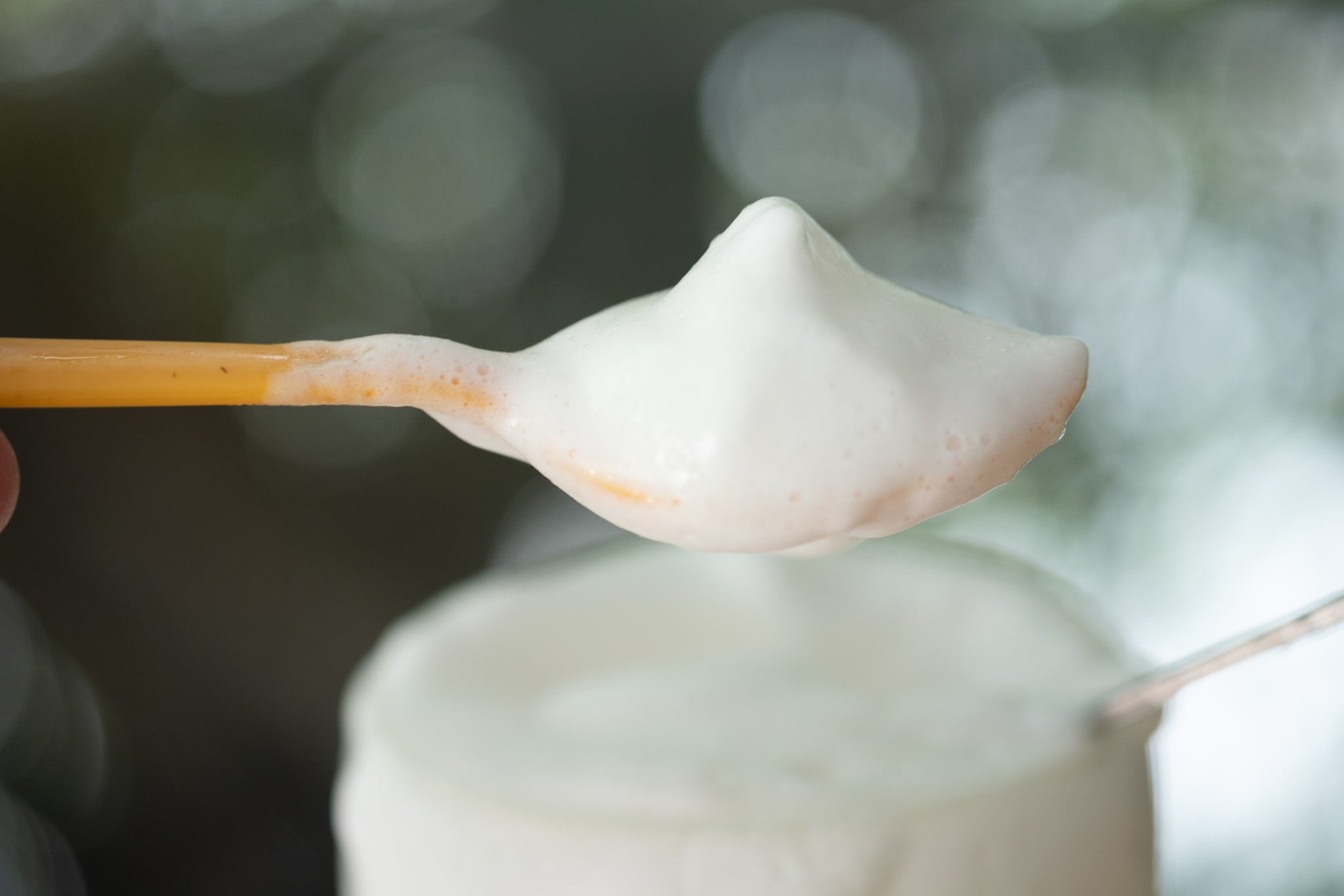 Foamed Milk at Home: A Comprehensive Guide to Frothing Milk Perfectly