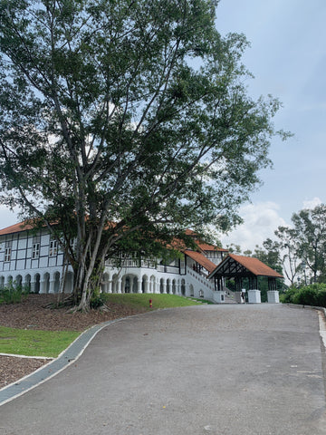 Singapore Botanic Gardens’ Gallop Extension