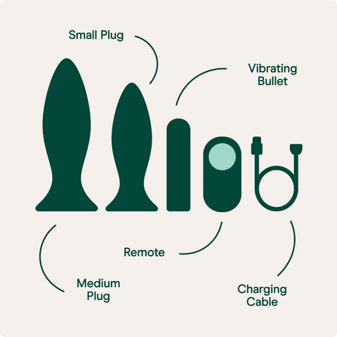 Medium plug, small plug, bullet, remote and charging cord in dark green silhouette