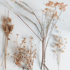 Dried flower selection.