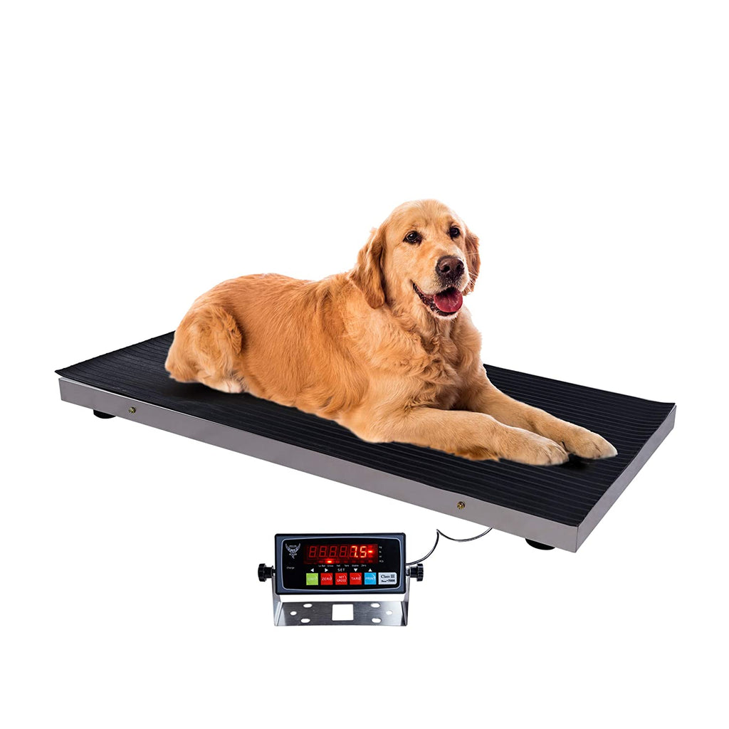 60 lb x 0.02 lb/0.2 oz - 25 x 16 Low Cost Animal Weighing Scale