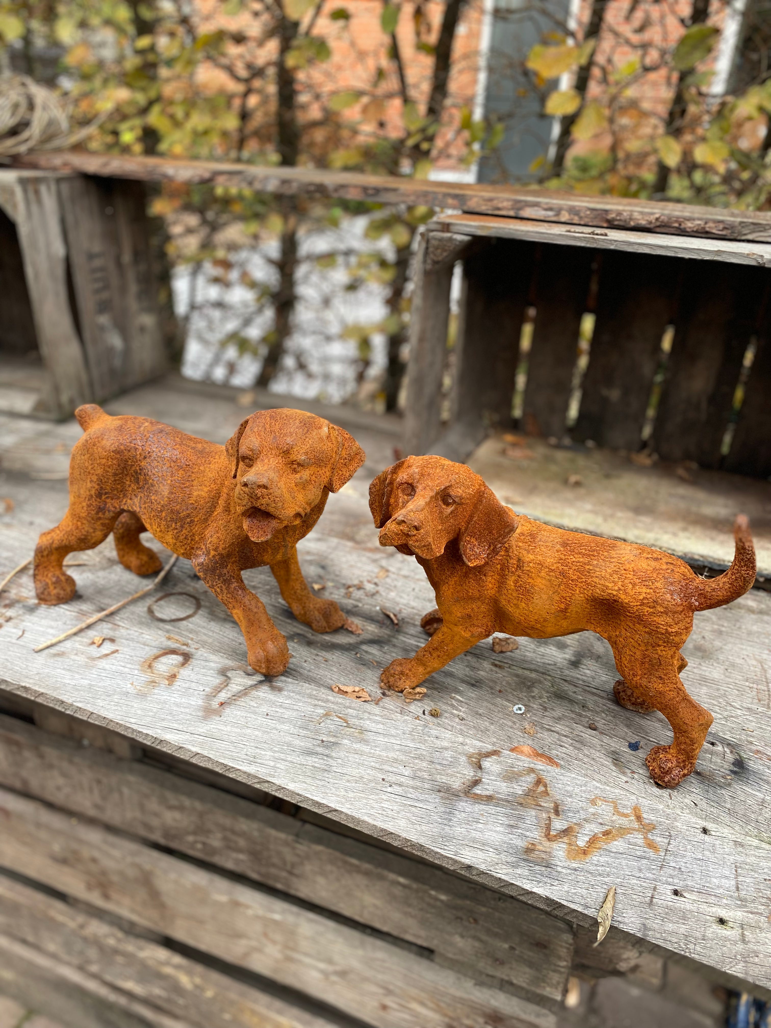 Ruïneren applaus bescherming Set van 2 honden van gietijzer | Brocante bij Ingie
