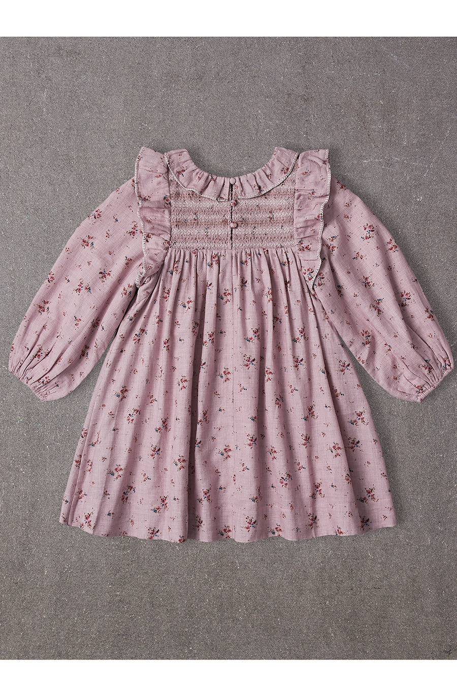 Girls Dress Nellystella Kiki Secret Garden – Mini Ruby