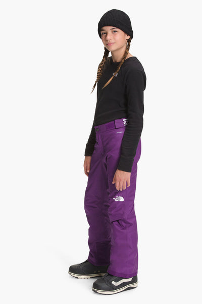 The North Face Women's Freedom Insulated Pant Lavender Fog