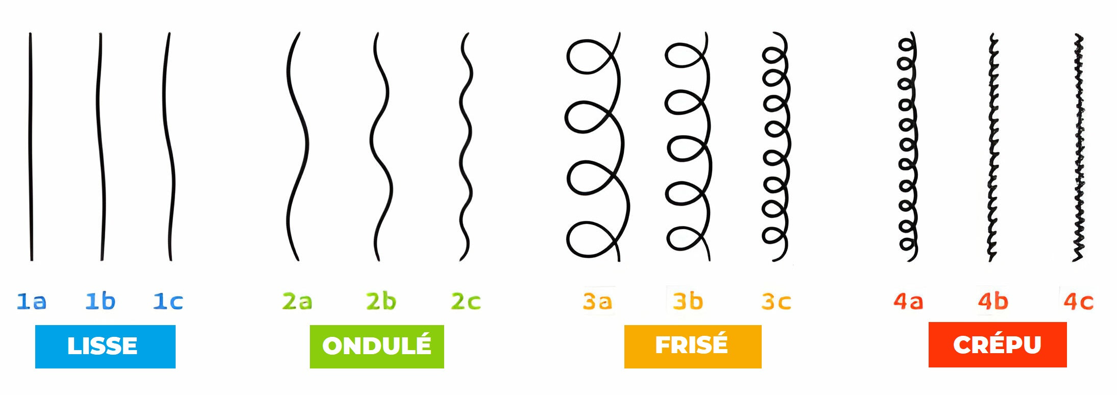 types de cheveux