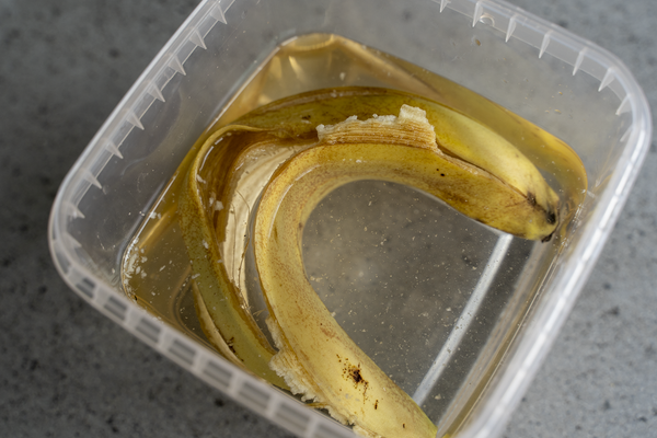 bananenschil in potje water